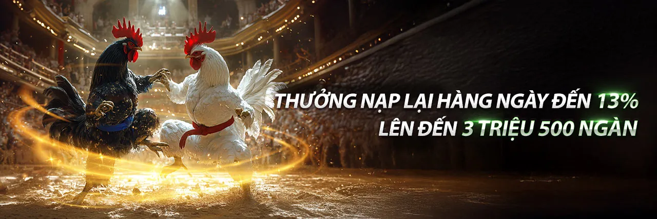 Đá Gà Trực Tuyến Vivu88